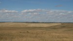 Все дороги ведут в Гай