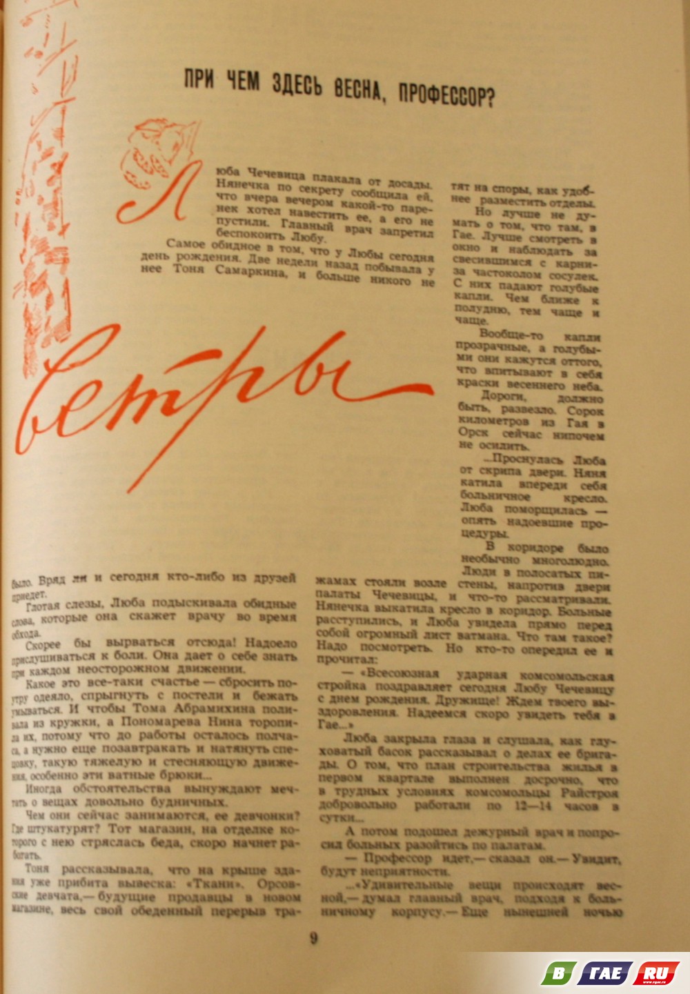Гай стоит на любви Гай стоит на любви