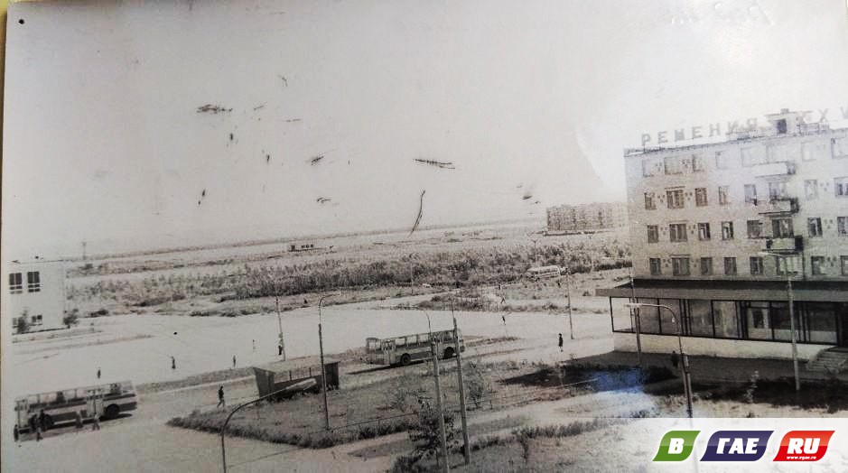 1979 год