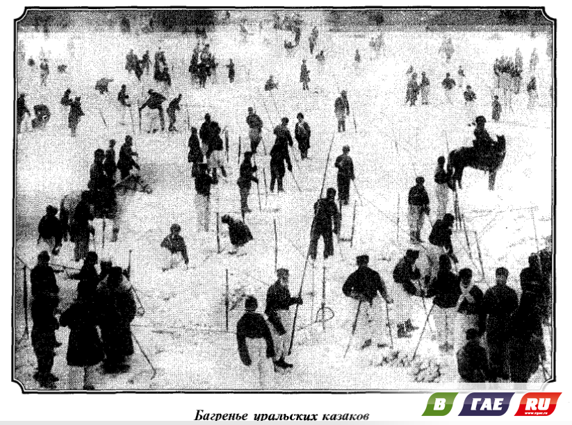 Яик – золотое дно Яик – золотое дно