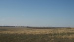 Без бумажки Гай – букашка