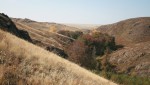 В дебрях Аулгана
