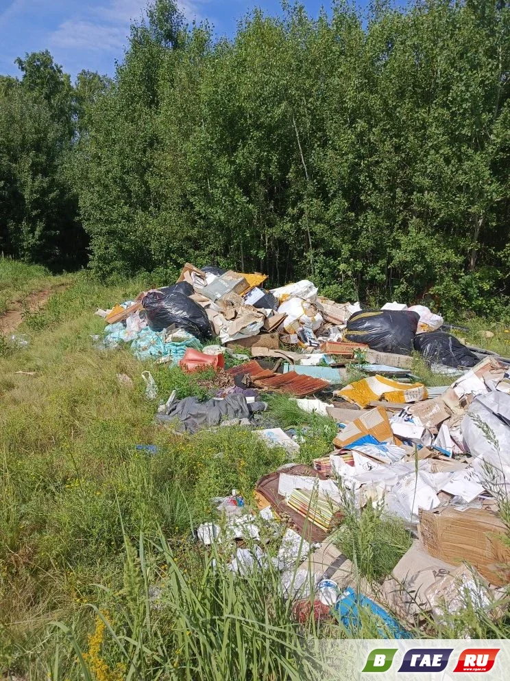 В роще свалили огромную кучу мусора