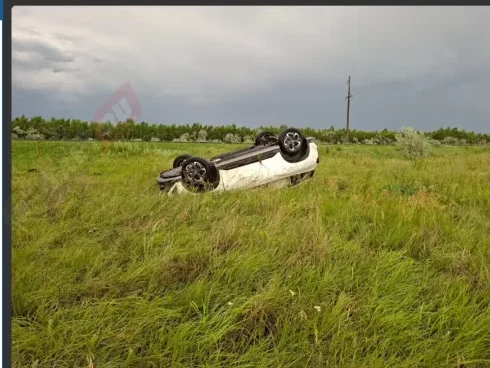 Hyundai MUFASA слетел в кювет и опрокинулся