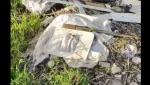 Возле лесопосадки снова сгрузили мусор