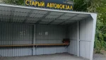 Коробку с котятами выбросили на остановке