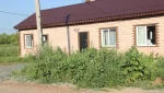 На ул. Вишневой цветет чертополох