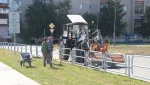 Гай усиленно прихорашивается ко Дню шахтера