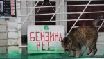 Орский НПЗ полностью остановлен, ремонт может растянуться до шести месяцев