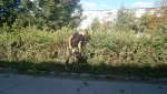 Гай готовится ко Дню шахтера. Объявленный субботник в конце недели сорвал дождь