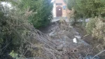 Возле ПНИ при демонтаже бордюров повредили корни многолетних елей