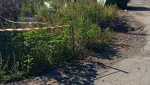 Эх, дела травяные и мусорные! Читатели сайта «В ГАЕ РУ» жалуются