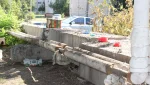 Гайчанка поделилась видео: скопище тараканов в кошачьей «столовой»