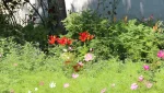Синоптики обещают ночную прохладу