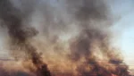 3 000 гектаров охватил ландшафтный пожар возле Гайнулино и Репино