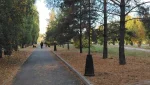 Гайчанка предлагает изменить график включения уличного освещения