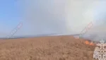 Горят степи возле Писаревки и Новониколаевки