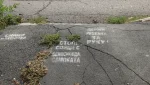 Возле пешеходного перехода на ул. Орской замечены напоминалки