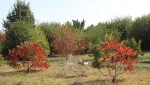 Есть в Гае и округе места, где осень особенно прекрасна