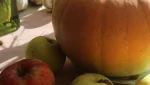 Синоптики обещают заморозки