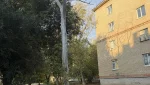 Под сухим деревом во дворе оказался открытым колодец