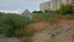 Сорняки на ул. Орской поднялись выше человеческого роста