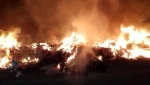 Пламя охватило гектар степи
