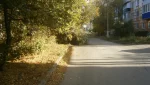 Падают деревья на дорогах Гая