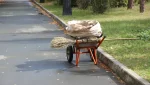 Осенний субботник: 12 октября пройдут мероприятия по санитарной очистке территорий