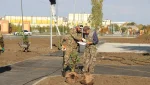В сквере на Орской началась посадка деревьев