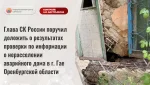 Бастрыкин заинтересовался домом в Гае, который пять лет не могут расселить