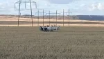 Сюжет из жизни полицейских. Коз искали и нашли